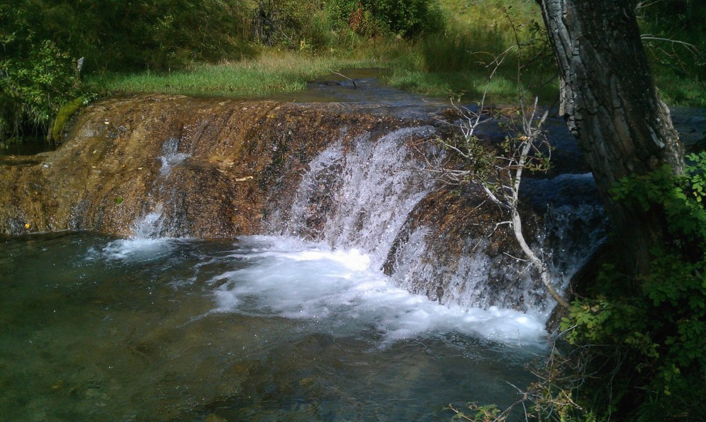 A Simple Heartfelt Thank&nbsp;You