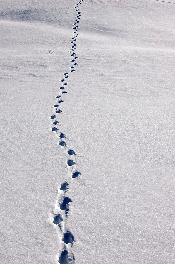 Feeling Alone on Your&nbsp;Journey